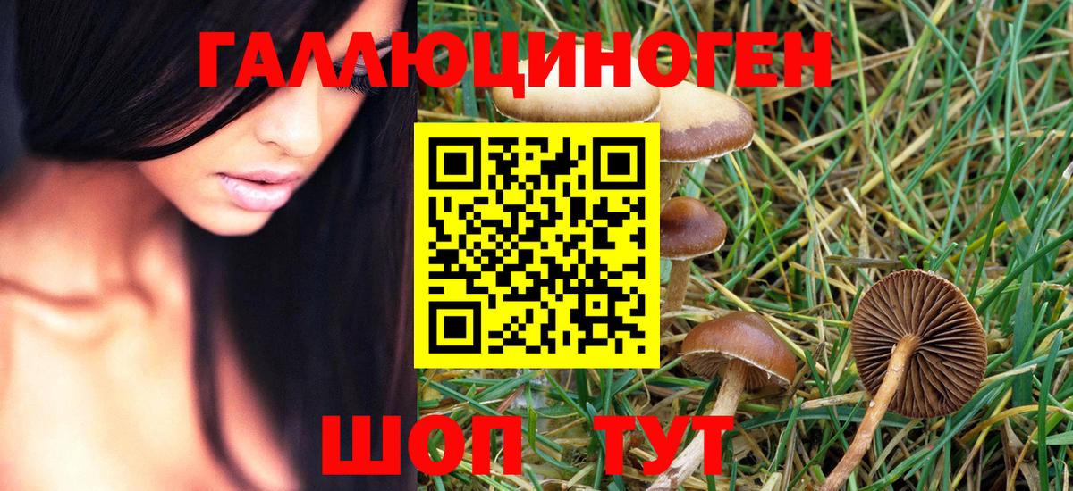 Галлюциногенные грибы Magic Shrooms  Вход с VPN  Азнакаево  Псилоцибиновые грибы Psilocybe 