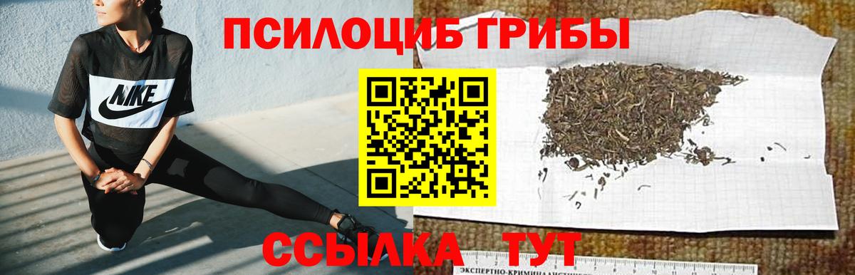 Псилоцибиновые грибы MAGIC MUSHROOMS Азнакаево